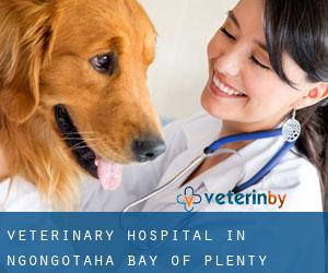 Veterinary Hospital in Ngongotaha (Bay of Plenty)