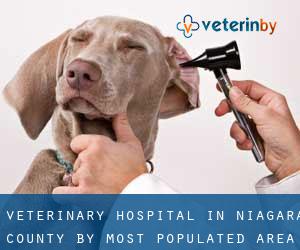 Veterinary Hospital in Niagara County by most populated area - page 1