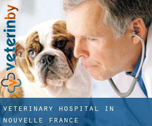 Veterinary Hospital in Nouvelle France