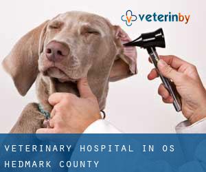 Veterinary Hospital in Os (Hedmark county)