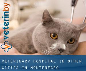 Veterinary Hospital in Other Cities in Montenegro