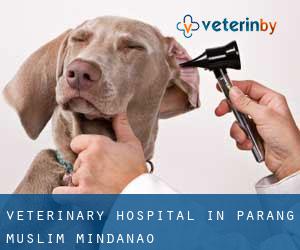 Veterinary Hospital in Parang (Muslim Mindanao)