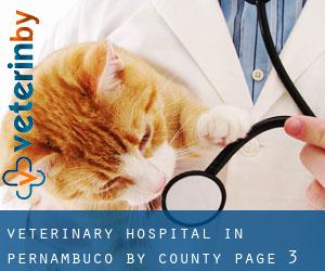 Veterinary Hospital in Pernambuco by County - page 3