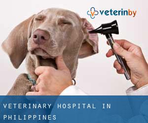 Veterinary Hospital in Philippines