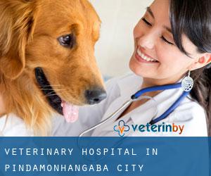 Veterinary Hospital in Pindamonhangaba (City)