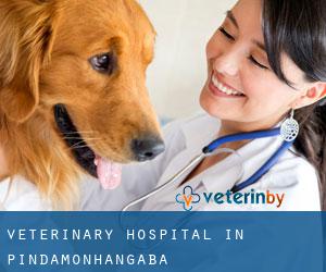 Veterinary Hospital in Pindamonhangaba