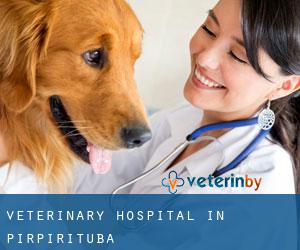 Veterinary Hospital in Pirpirituba