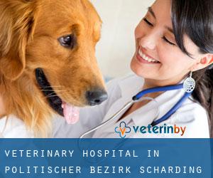 Veterinary Hospital in Politischer Bezirk Schärding