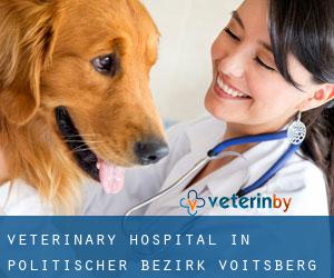 Veterinary Hospital in Politischer Bezirk Voitsberg