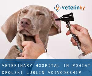 Veterinary Hospital in Powiat opolski (Lublin Voivodeship)
