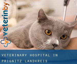 Veterinary Hospital in Prignitz Landkreis