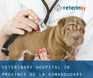Veterinary Hospital in Province de la Komandjoari