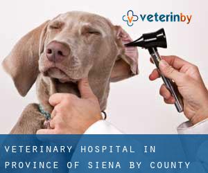 Veterinary Hospital in Province of Siena by county seat - page 1