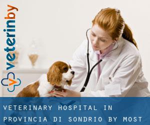 Veterinary Hospital in Provincia di Sondrio by most populated area - page 1