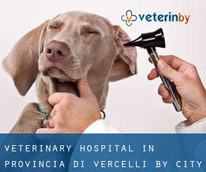 Veterinary Hospital in Provincia di Vercelli by city - page 1