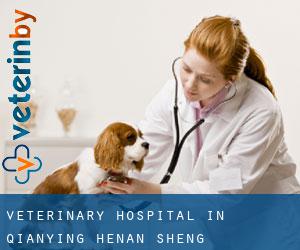 Veterinary Hospital in Qianying (Henan Sheng)