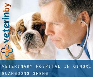 Veterinary Hospital in Qingxi (Guangdong Sheng)
