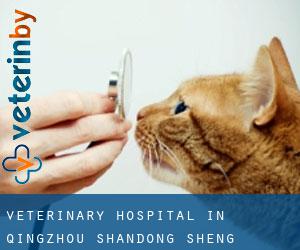 Veterinary Hospital in Qingzhou (Shandong Sheng)