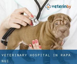 Veterinary Hospital in Rapa Nui