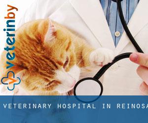 Veterinary Hospital in Reinosa