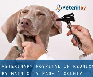 Veterinary Hospital in Réunion by main city - page 1 (County)