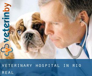 Veterinary Hospital in Rio Real