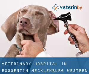Veterinary Hospital in Roggentin (Mecklenburg-Western Pomerania)