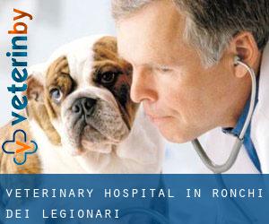 Veterinary Hospital in Ronchi dei Legionari