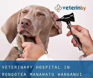 Veterinary Hospital in Rongotea (Manawatu-Wanganui)