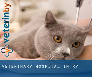 Veterinary Hospital in Ry