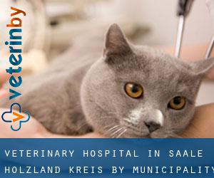 Veterinary Hospital in Saale-Holzland-Kreis by municipality - page 1
