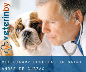 Veterinary Hospital in Saint-André-de-Cubzac