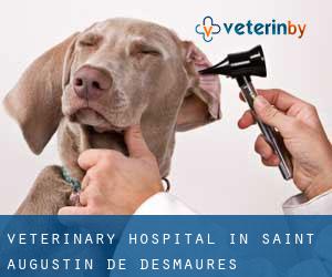 Veterinary Hospital in Saint-Augustin-de-Desmaures