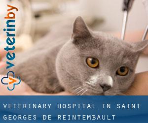 Veterinary Hospital in Saint-Georges-de-Reintembault