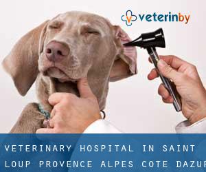Veterinary Hospital in Saint-Loup (Provence-Alpes-Côte d'Azur)