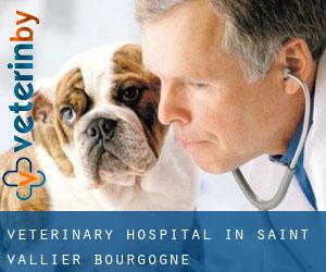 Veterinary Hospital in Saint-Vallier (Bourgogne)