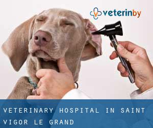 Veterinary Hospital in Saint-Vigor-le-Grand