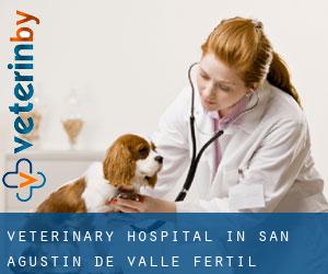 Veterinary Hospital in San Agustín de Valle Fértil
