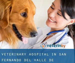 Veterinary Hospital in San Fernando del Valle de Catamarca