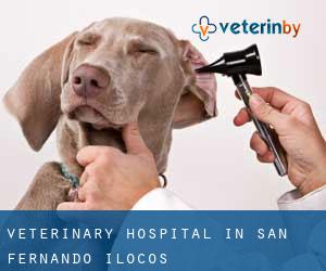 Veterinary Hospital in San Fernando (Ilocos)