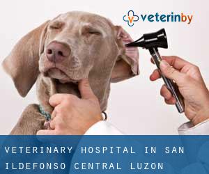 Veterinary Hospital in San Ildefonso (Central Luzon)
