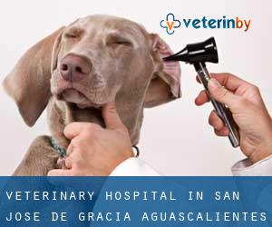 Veterinary Hospital in San José de Gracia (Aguascalientes)