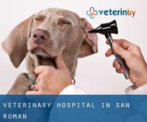 Veterinary Hospital in San Román
