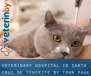 Veterinary Hospital in Santa Cruz de Tenerife by town - page 1