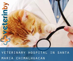 Veterinary Hospital in Santa María Chimalhuacán