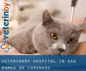 Veterinary Hospital in São Romão do Coronado