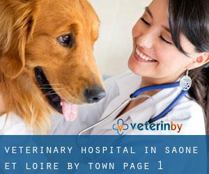 Veterinary Hospital in Saône-et-Loire by town - page 1