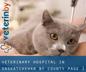 Veterinary Hospital in Saskatchewan by County - page 1