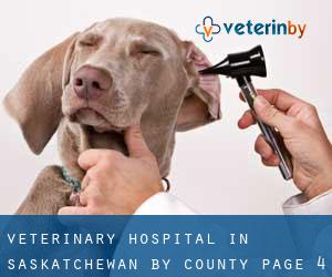 Veterinary Hospital in Saskatchewan by County - page 4