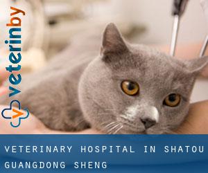 Veterinary Hospital in Shatou (Guangdong Sheng)